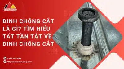 Đinh chống cắt là gì